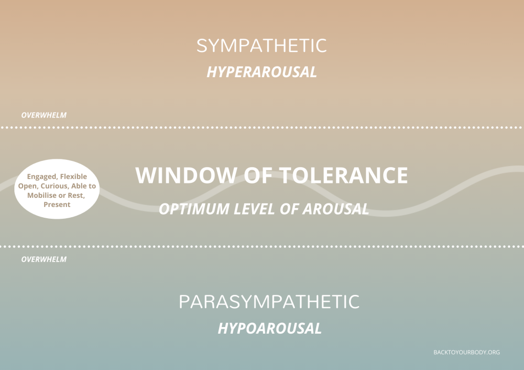 Window of tolerance showing optimal arousal and flexible movement between sympathetic and parasympathetic states